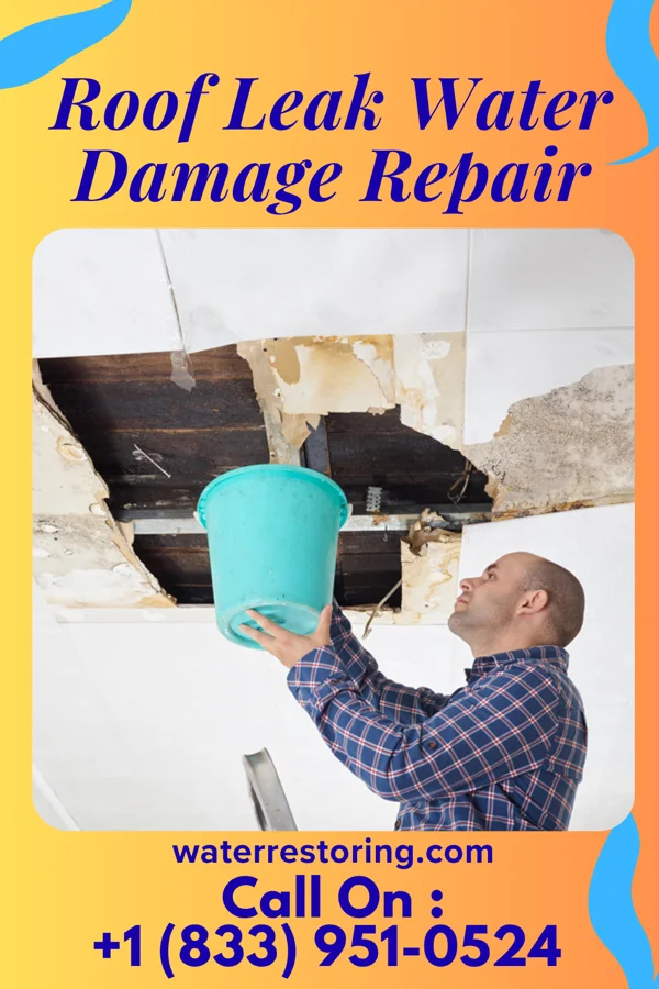 Roof Leak Water Damage Repair in Greenwood, LA